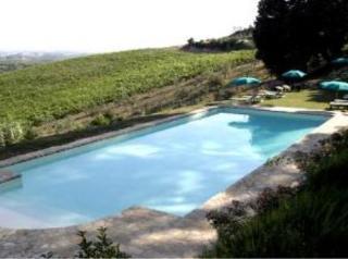 Agriturismo Bio Fattoria Bacio Чертальдо Экстерьер фото