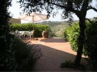 Agriturismo Bio Fattoria Bacio Чертальдо Экстерьер фото